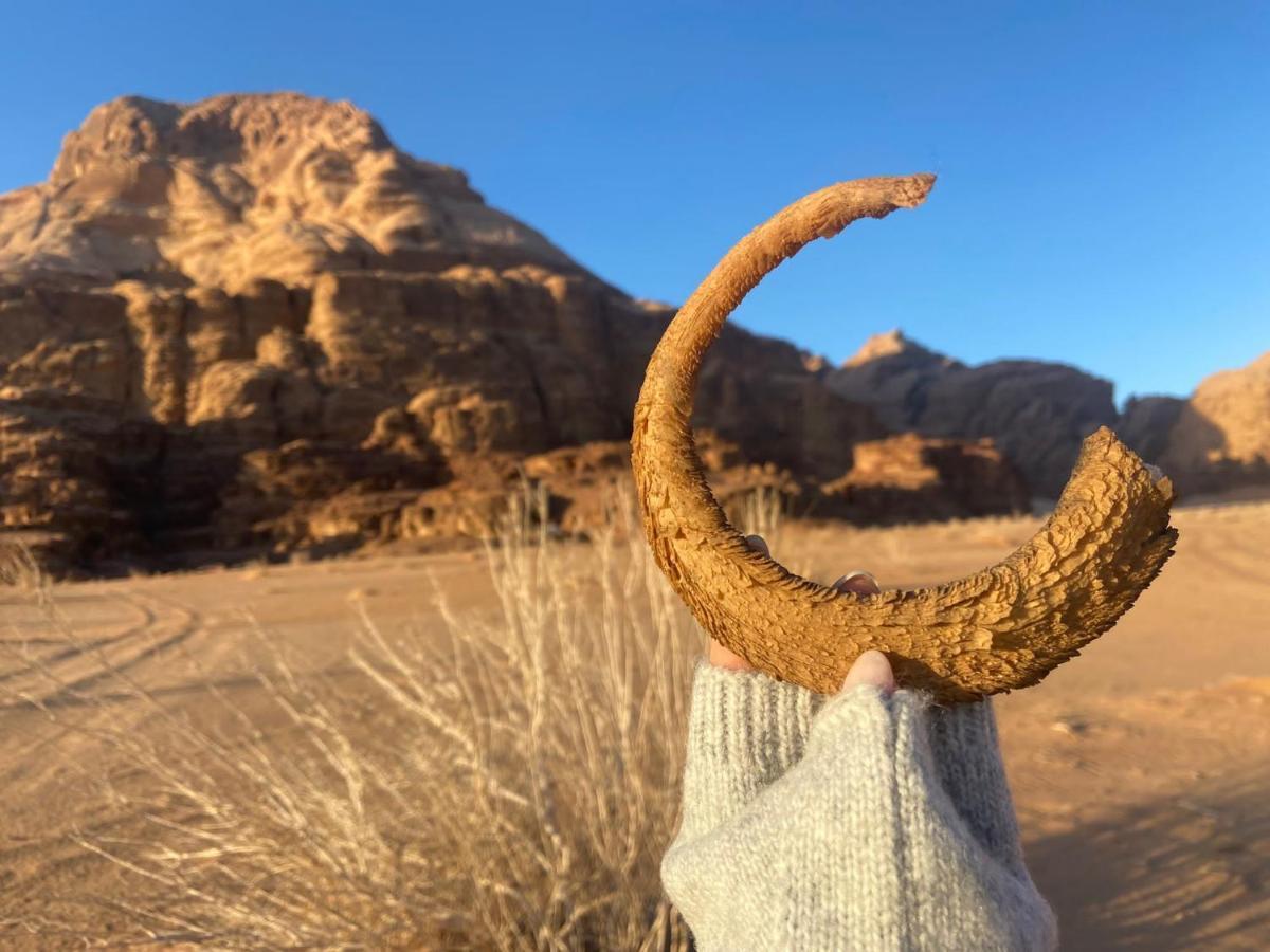 Wadi Rum Albasli ภายนอก รูปภาพ