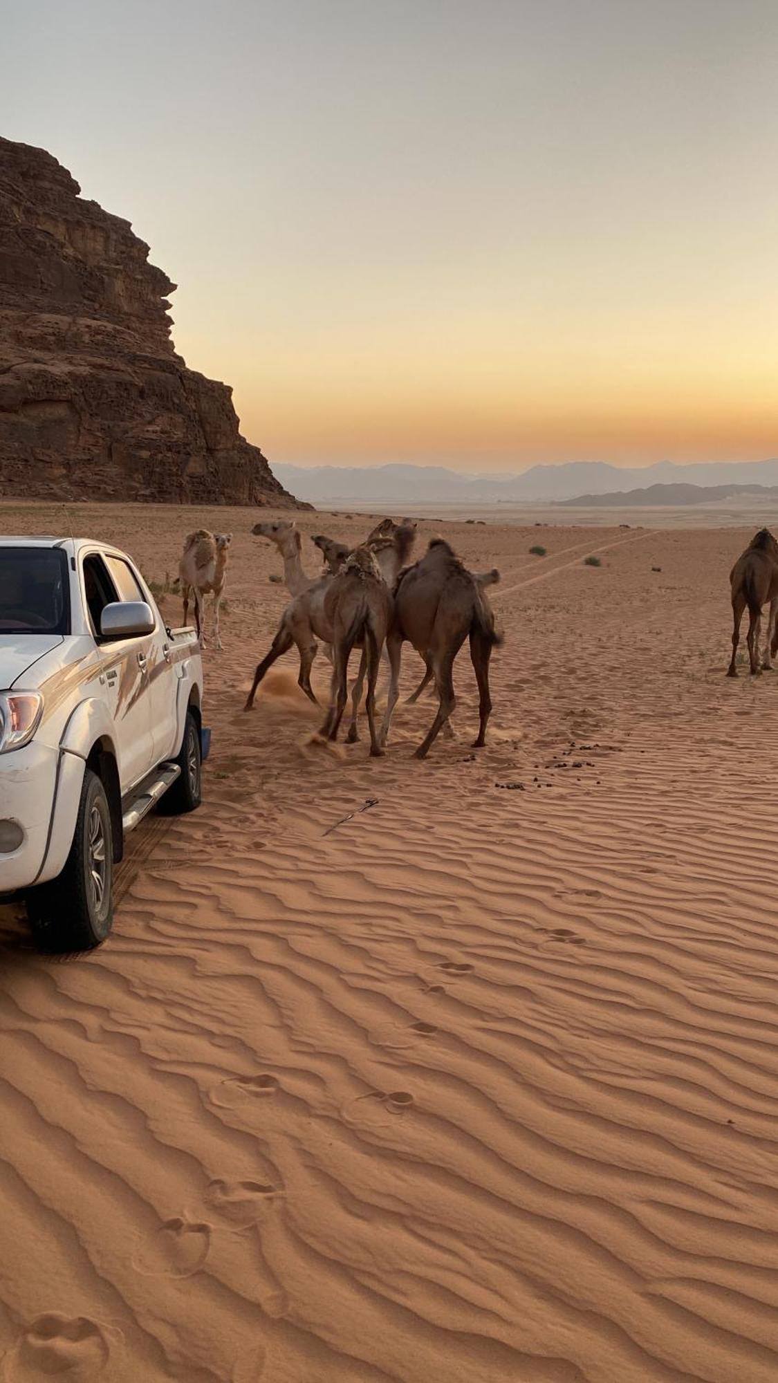 Wadi Rum Albasli ภายนอก รูปภาพ