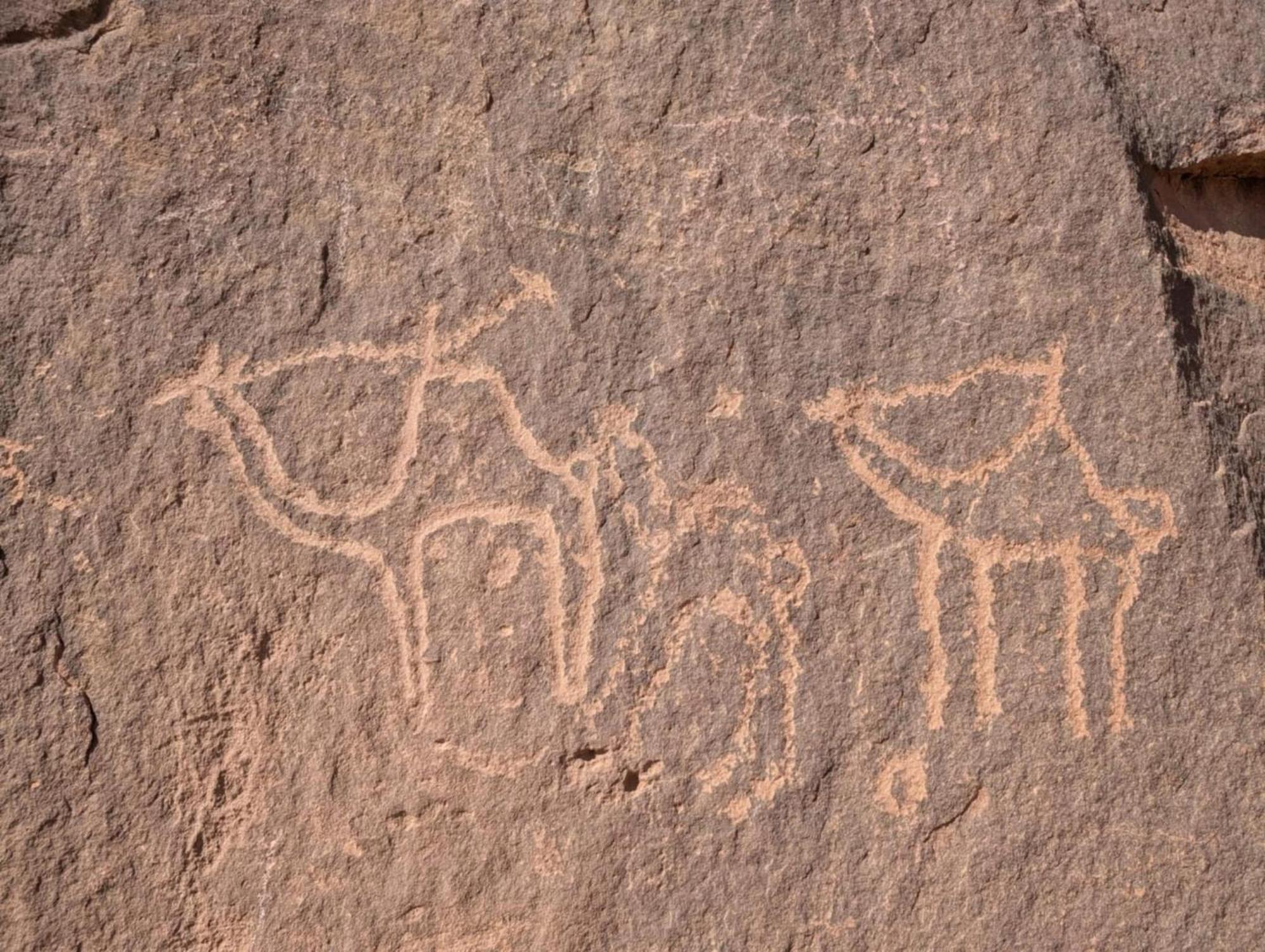Wadi Rum Albasli ภายนอก รูปภาพ
