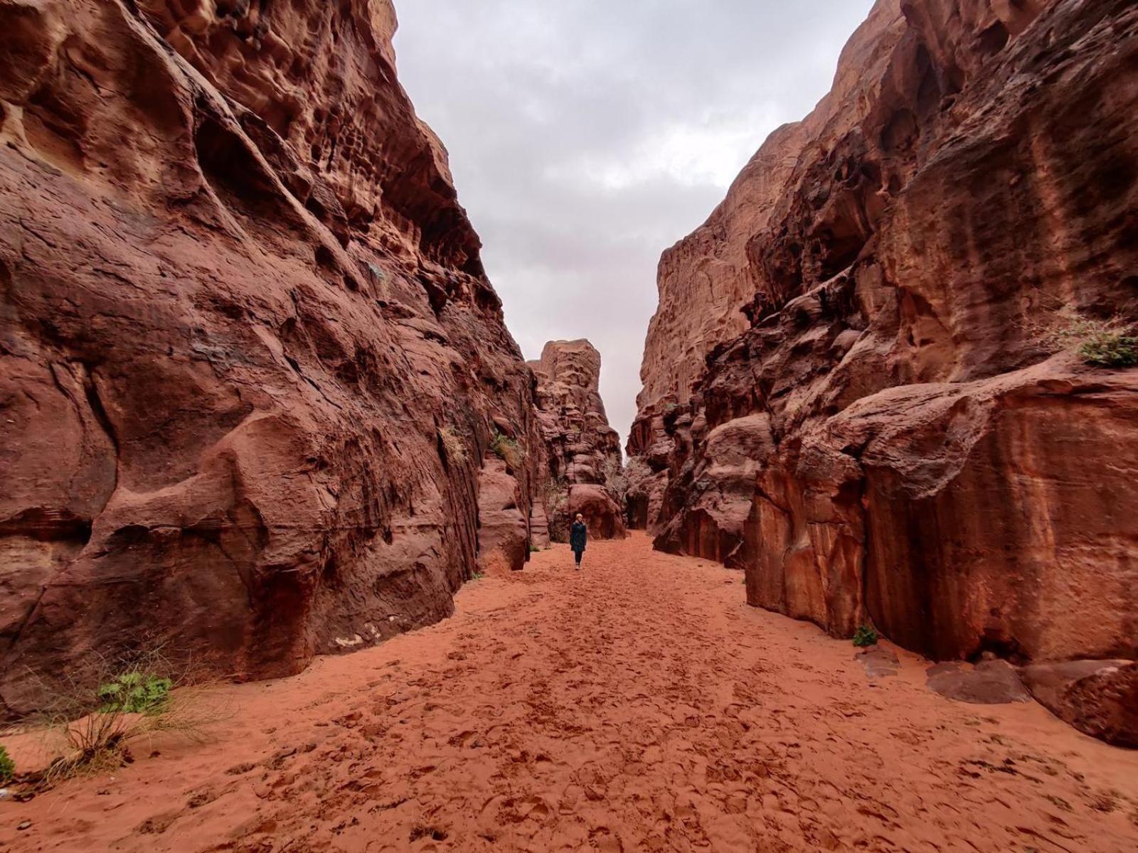 Wadi Rum Albasli ภายนอก รูปภาพ